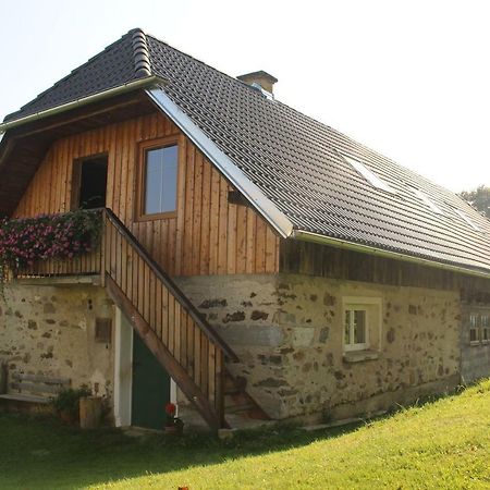 Апартаменты Urlaub Am Zechnerhof Штрасбург-ин-Кернтен Экстерьер фото