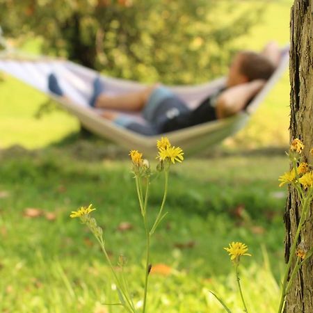 Апартаменты Urlaub Am Zechnerhof Штрасбург-ин-Кернтен Экстерьер фото