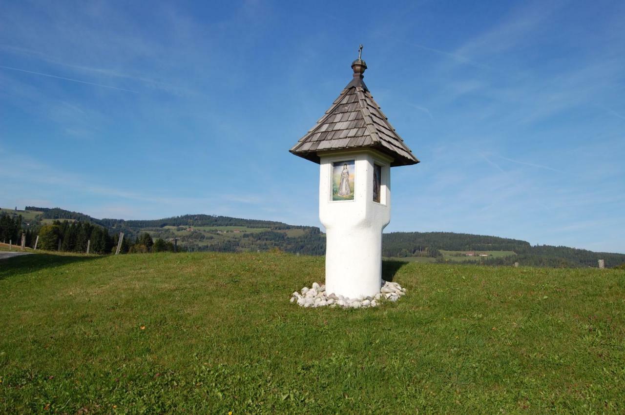 Апартаменты Urlaub Am Zechnerhof Штрасбург-ин-Кернтен Экстерьер фото